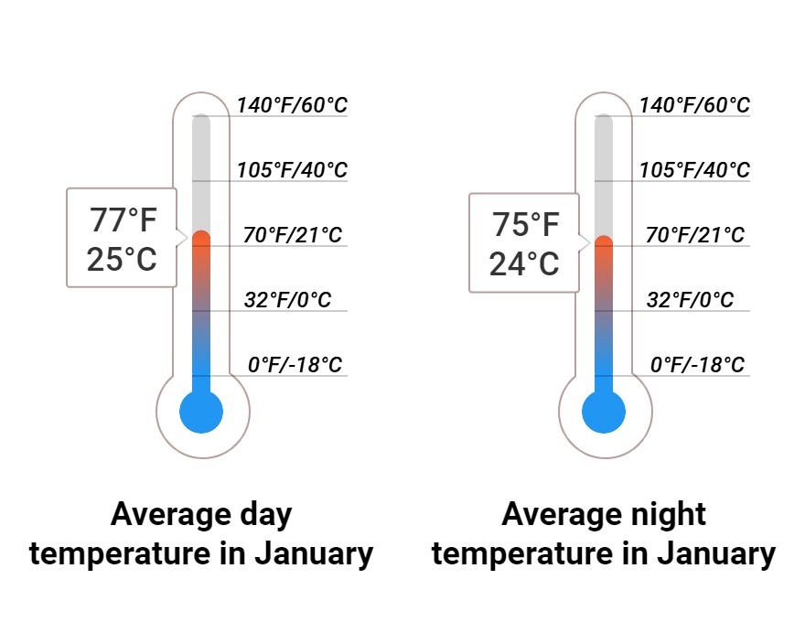 Average temperature